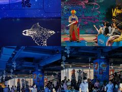 -顺德南宏海立方海洋公园