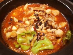 黑松露牛肝菌焖牛蛙-云海肴·汽锅鸡·云南菜(广安门天虹店)