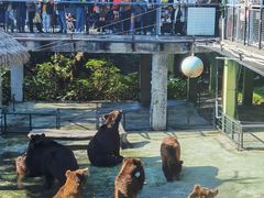 -深圳野生动物园
