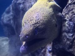-临沂极地海洋王国