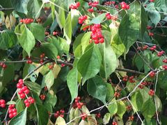 -滨河世纪广场公园