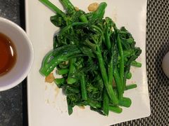 -新兴·金羊座·粤菜点心(乐峰店)