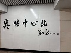 -奥体中心(地铁站)