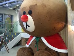 -line friends(明洞旗舰店)