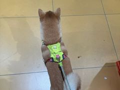 -MARSMART PETS火星宠物超市(1733店)