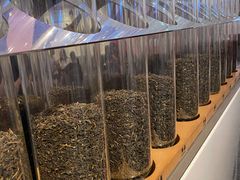 -喜茶(迪士尼小镇DP店)