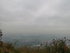 -杭州半山国家森林公园