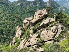-沂蒙山旅游区云蒙景区(蒙山国家森林公园)
