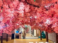 -陆地游轮西山温泉号