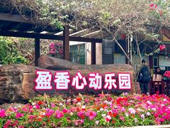-盈香心动乐园