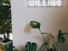 -Willing·Coffee&Brunch&Dinner(万达店)