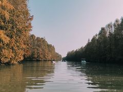 -上海海湾国家森林公园