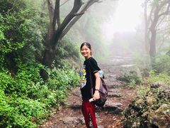 -阳台山自然风景区