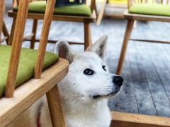 -云里小坐·小院里·团建·宴请·下午茶(三圣乡店)