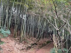 -峙山公园