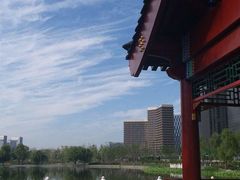 -西海子公园