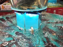 -魏铭鱼头捞饭(晋阳路店)