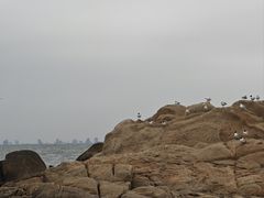 -老虎石海上公园