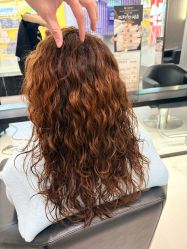 -东方麒麟·潘多拉SALON