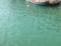 -鑫艋游艇海钓俱乐部