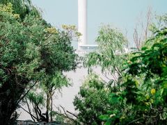 -上海吴淞炮台湾国家湿地公园