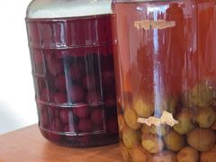 -肥朵食堂(带梦胡同店)