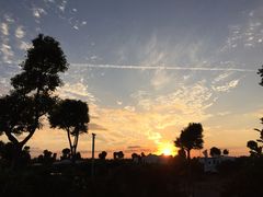 -明珠湖天鹅苑·农家菜馆