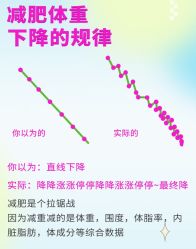 -Fundi张玉珊修身堂·indiba·BTL科技瘦身