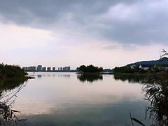 -湘湖金融镇