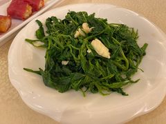-金翠皇宫粤菜·点心·海鲜(翡翠店)