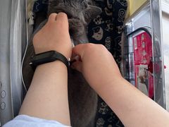 -申普宠物医院·眼科·心内科·影像科(普陀分院)