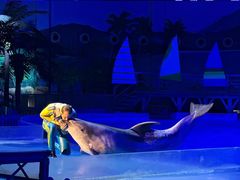 -海合安武汉极地海洋公园
