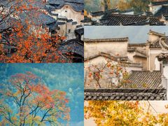 -塔川景区