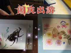 -上海昆虫博物馆