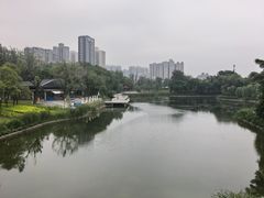 -渭滨公园
