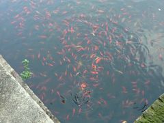 -九华秋浦胜境大王洞风景区