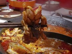 -老天桥蛙炉火锅(姑苏总店)