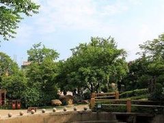 -石老人观光园