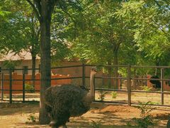 -石家庄市动物园