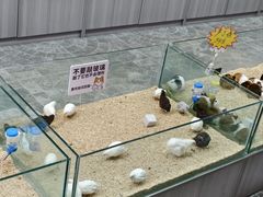 -百荣世贸商城