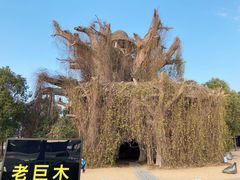 -上海月湖雕塑公园