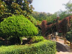 -石老人观光园