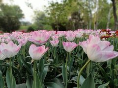 -国家植物园