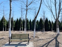 -永定河休闲森林公园