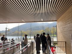 -千年银杏谷文化旅游区