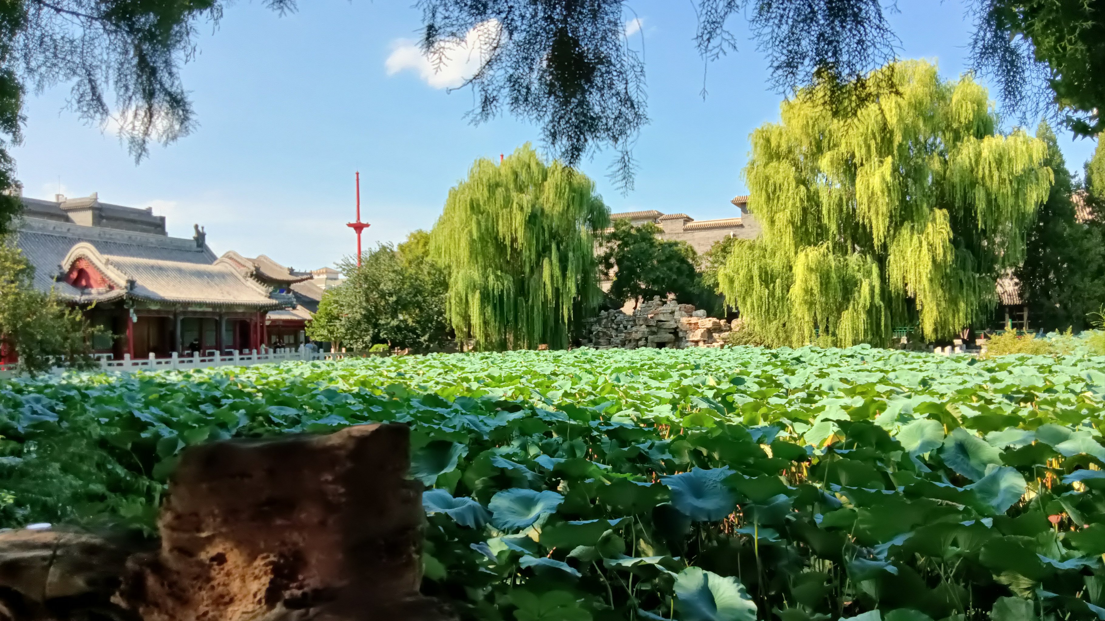 保定莲池区旅游景点图片