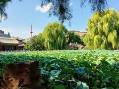 -莲池书院博物馆