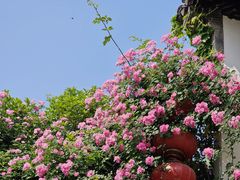 -老门东历史文化街区