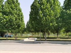 -武清南湖绿博园