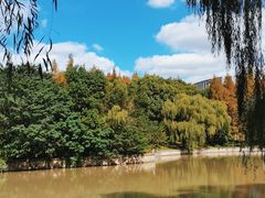 -中国浦东干部学院